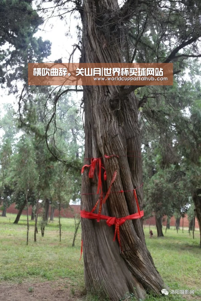 横吹曲辞。关山月|世界杯买球网站(图2) 世界杯投注