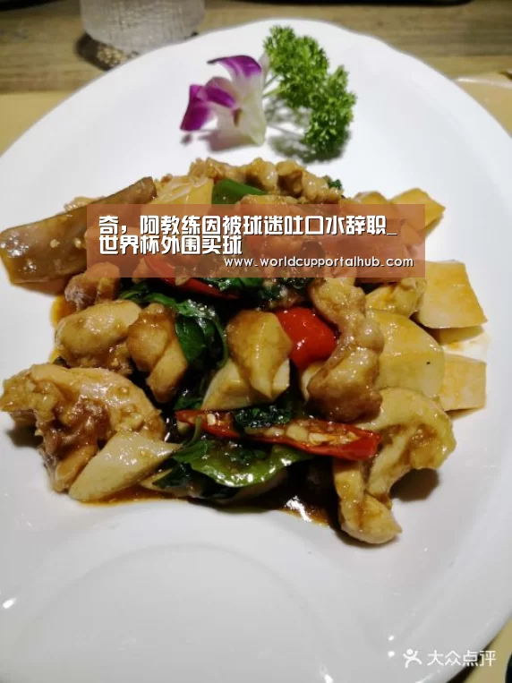 奇,阿教练因被球迷吐口水辞职_世界杯外围买球(图2) 世界杯买球网站